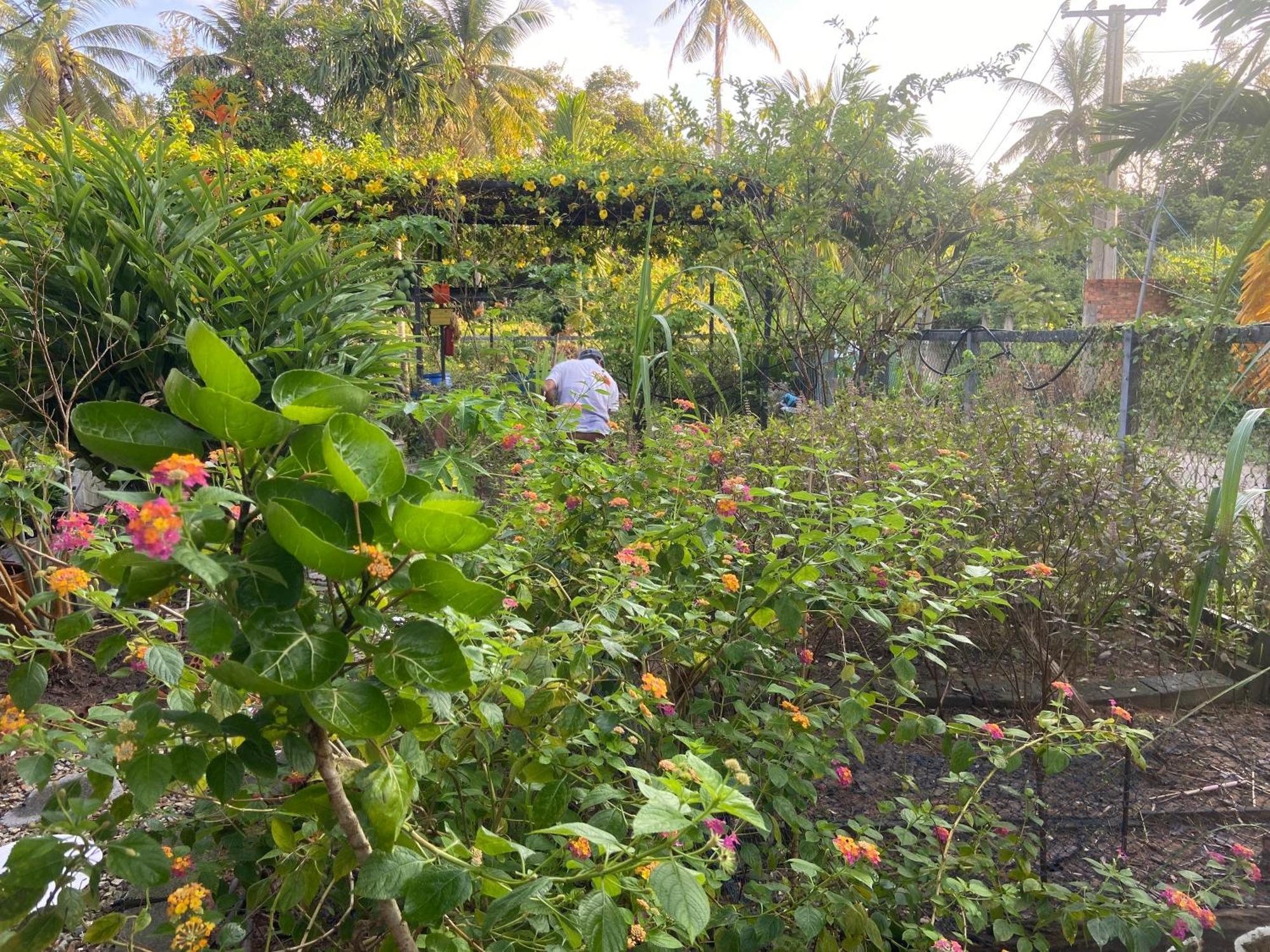 Lana Land Homestay Phú Quốc Exterior photo